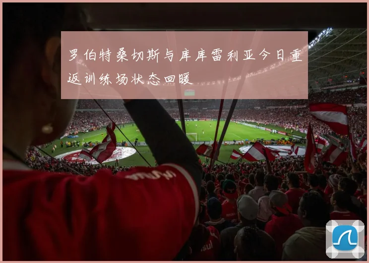罗伯特桑切斯与库库雷利亚今日重返训练场状态回暖