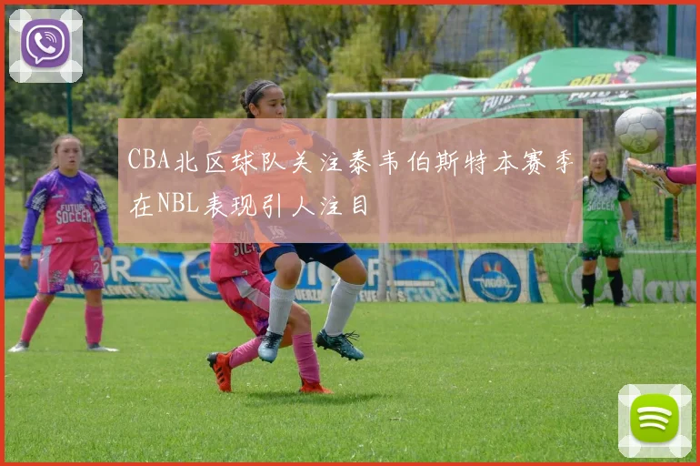 CBA北区球队关注泰韦伯斯特本赛季在NBL表现引人注目