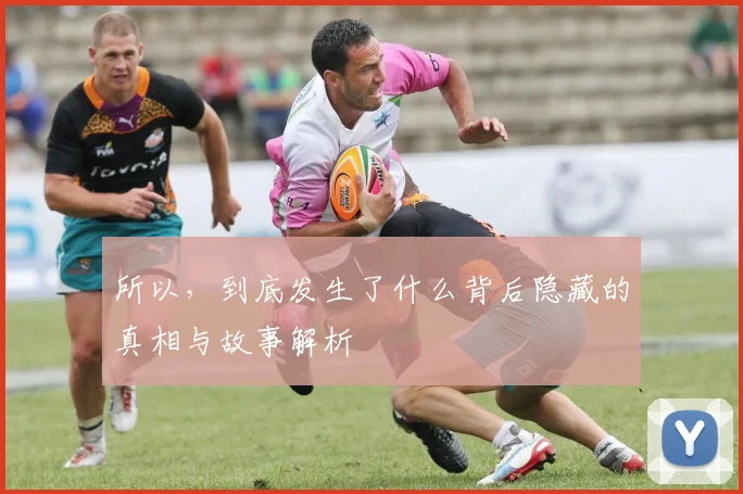 所以，到底发生了什么背后隐藏的真相与故事解析