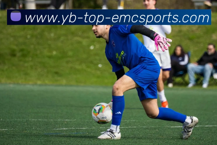 易倍体育APP 封面图